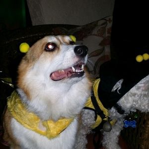 Meet your Posher, Eric